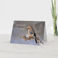 Season's Greetings Bird Holiday Christmas Card