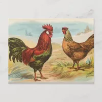 Leghorns Postcard