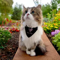 Personalized Pink Filigree Heart  Pet Bandana Collar