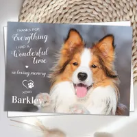Pet Loss Thanks For Everything Dog Memorial Photo  Thank You Card