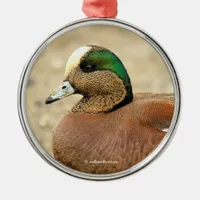 An American Wigeon on the Beach Metal Ornament