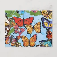 Colorful Butterflies Postcard