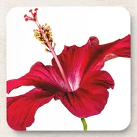 Red Hibiscus Flower Side View Beverage Coaster