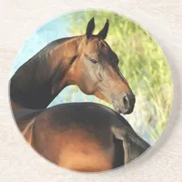 Akhal-teke stallion drink coaster