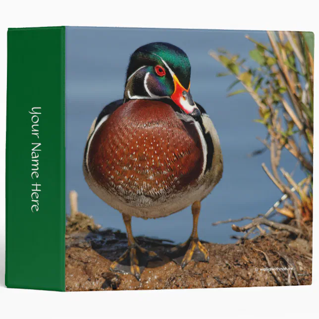 Beautiful Pensive Wood Duck in the Marsh Binder