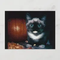 Kitten and Pumpkin for Halloween Postcard