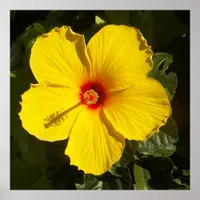 Tropical Paradise Yellow Hibiscus Flower Matte Poster