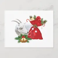 Saanen Goat With Holiday Spirit