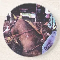 Cowgirl and Horse Coaster