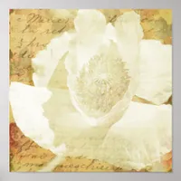 Poppy Marie Poster