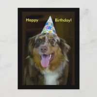 Australian Shepherd Birthday Party Dog Invitation Postcard