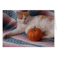 Kitty and Pumpkin