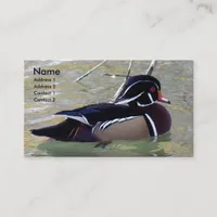 Wood Duck Drake Business Card