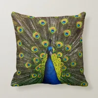 Colorful peacock throw pillow