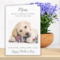 Funny Personalized Dog Mom Pet Photo Mothers Day Holiday Card