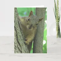 Happy Birthday You Nut Funny Squirrel Card