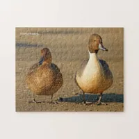 Funny American / Northern Pintail Ducks Gothic Jigsaw Puzzle