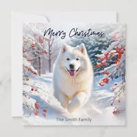 Samoyed Dog In Snow Merry Christmas Holiday Card