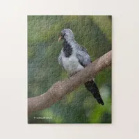 Namaqua Pigeon / Dove in the Tree Jigsaw Puzzle