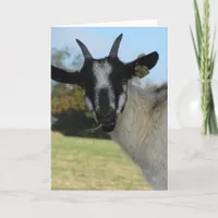 Well Hello There Card
