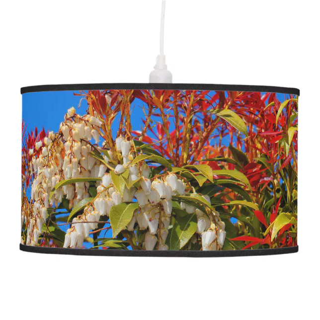 Japanese Andromeda Bonfire Ceiling Lamp