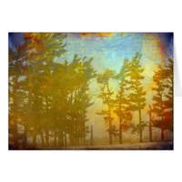 Winter Trees