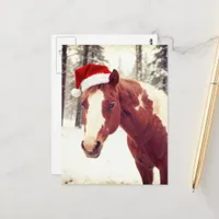 Adorable and Cute Christmas Paint Horse Postcard