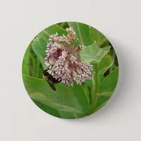 The Bumble Bee on The Milkweed Pinback Button