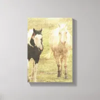 Palomino and Pinto Canvas Print