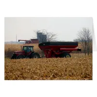 Harvest the Corn