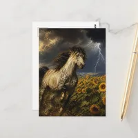  horse in a sunflower field during a thunderstorm postcard