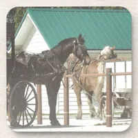 Kalona Amish Horses Coaster