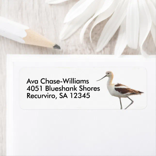 Stunning American Avocet Bird Strolling the Beach Label