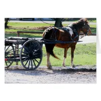 Amish Pony Cart All Occasions Greeting Card