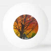 Autumn Leaves of Yellow and Orange Photo Ping-Pong Ball