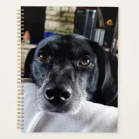 Add Your Dog's Photo to this Custom Planner