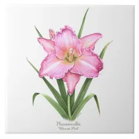 Pink Daylily Botanical Art Style Ceramic Tile