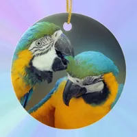 Macaws in love ceramic ornament