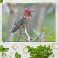 Stunning Male Anna's Hummingbird in Plum Tree Kitchen Towel