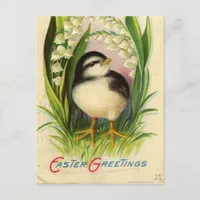 Vintage Easter Chick Holiday Postcard