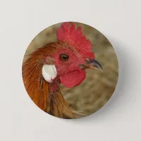 Phoenix Rooster Pinback Button