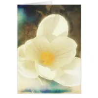 Crocus Flower Grunge Cards