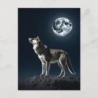 Full Moon Shining on the Wolf Blank Postcard