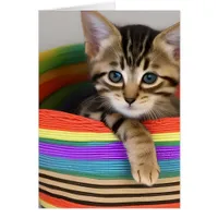 Adorable Kitten in a Colorful Basket Blank Inside