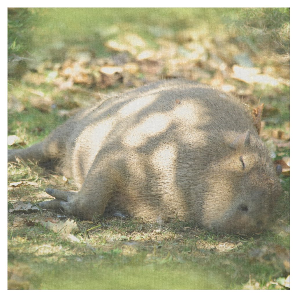 A Cute Capybara Dreams in the Summer Sun Fabric