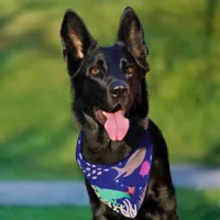 Silhouettes of the sea pet bandana collar