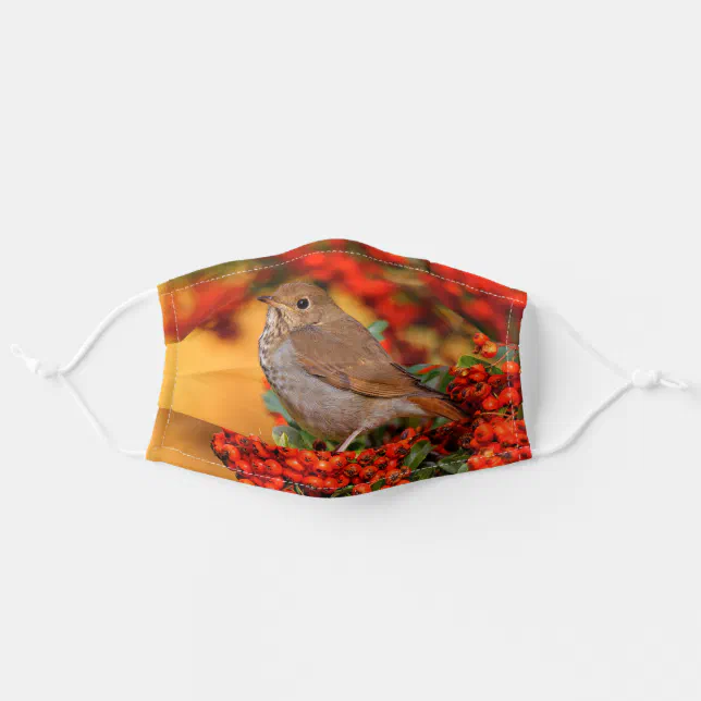 Hermit Thrush Songbird on Scarlet Firethorn Adult Cloth Face Mask