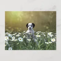 Cute Dalmatian Puppy in Daisies Postcard