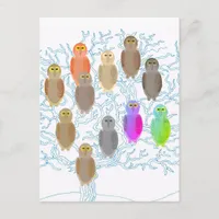 Postcard - Owl Family Tree