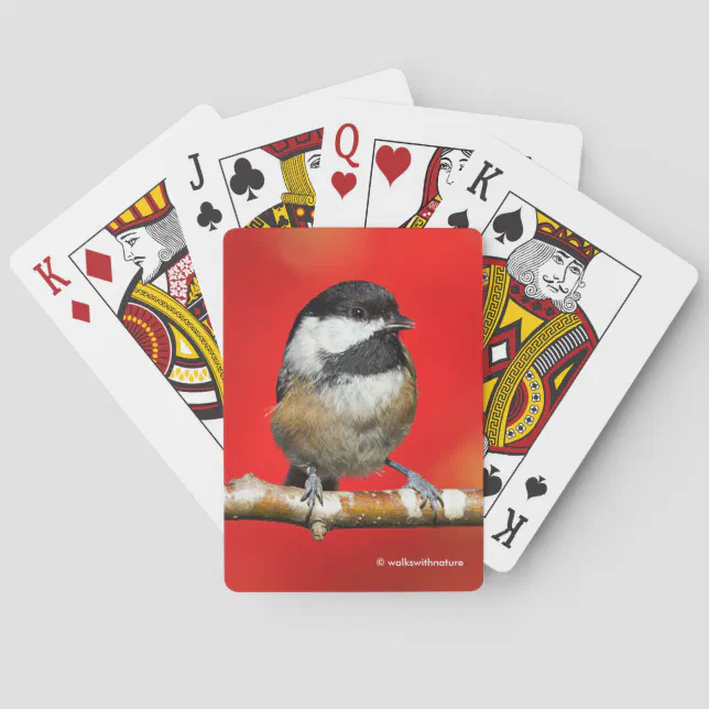 Cute Black-Capped Chickadee with Red Autumn Leaves Poker Cards